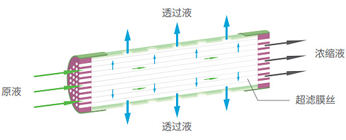 亚美AM8AG·(中国区)官方网站