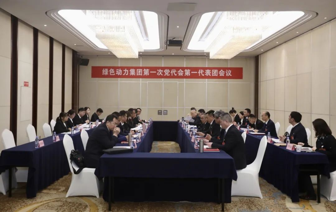 铭刻使命再出发，，，，，，代表热议“两委”报告